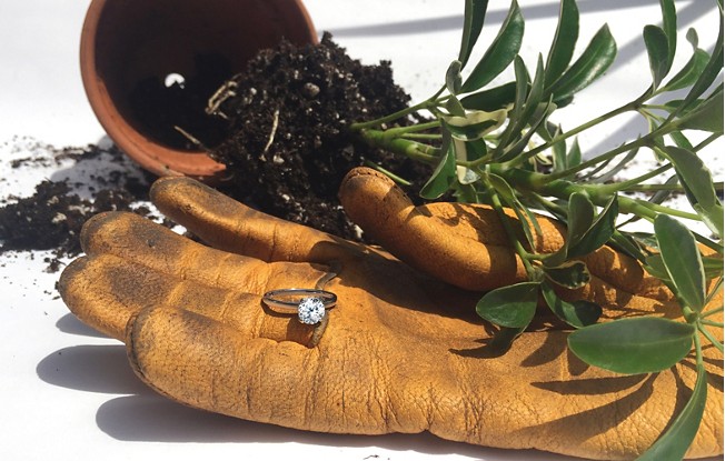 Solitaire engagement ring on top of a gardening glove with a spilled potted plant in the background 