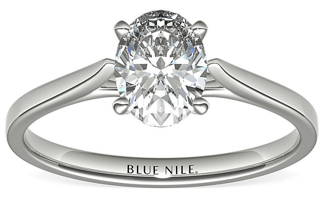 A petite cathedral solitaire engagement ring in platinum from Blue Nile on a white background